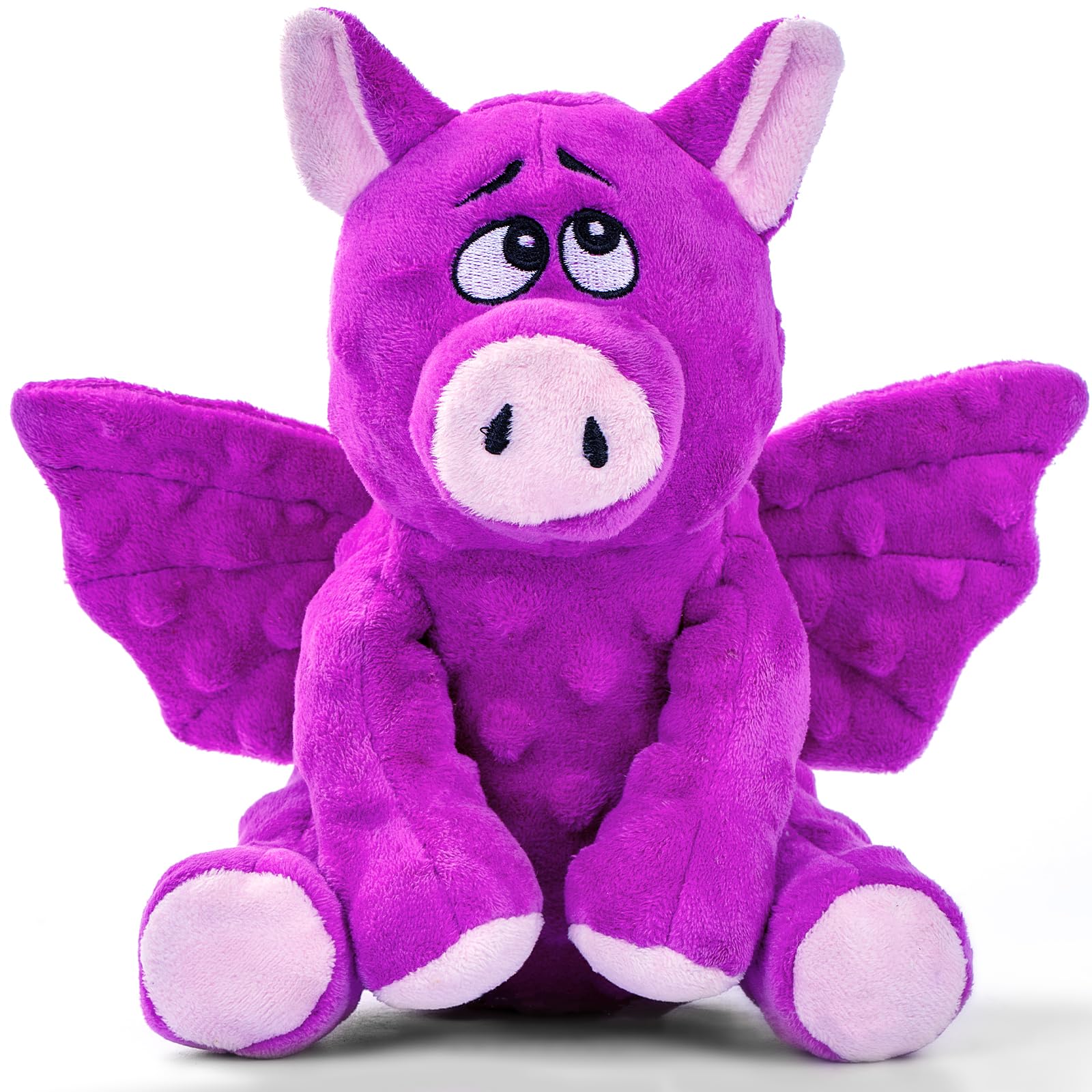 Squeaky Dog Toys