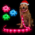 LED Dog Leash Light Up Dog Leash 4ft (Pink)
