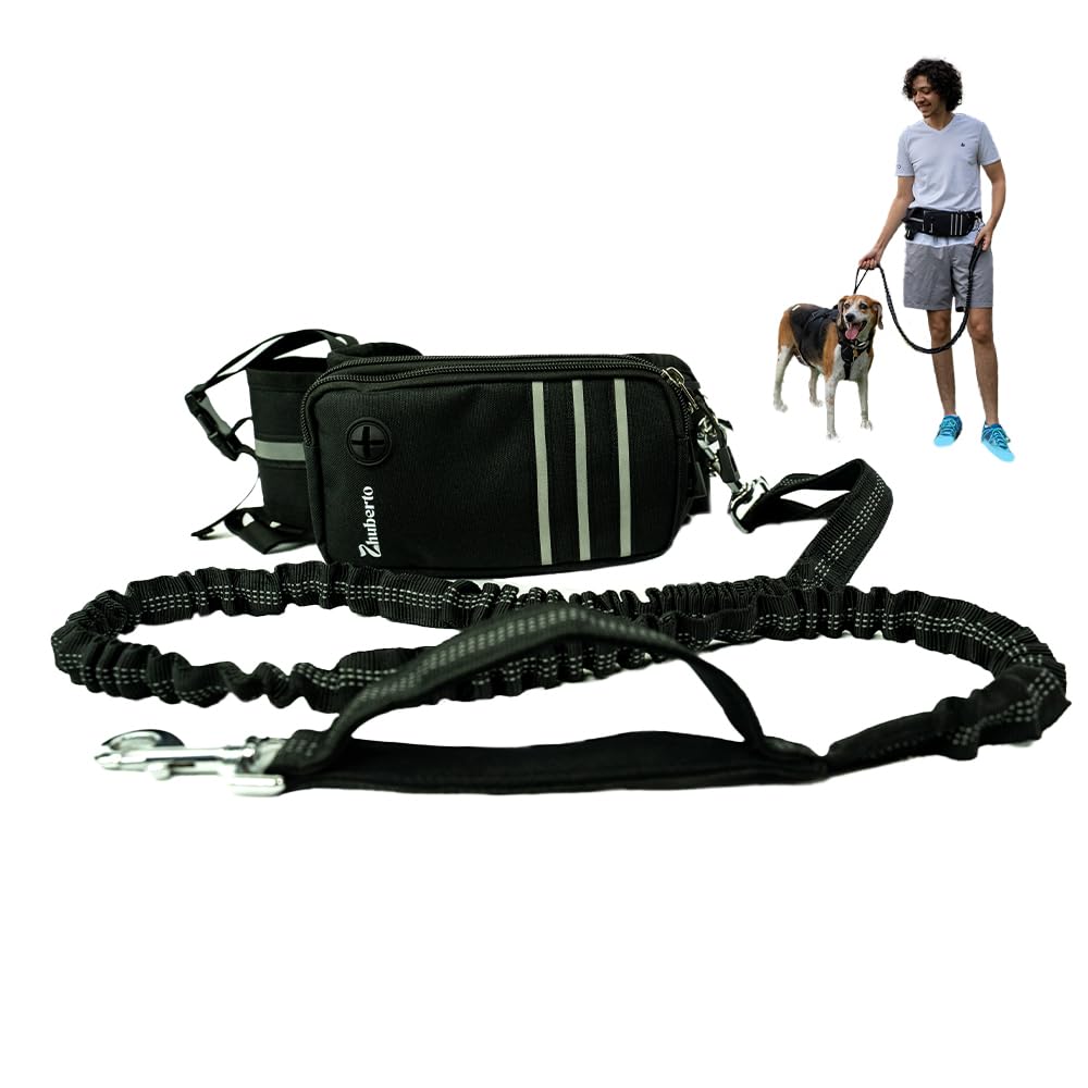 Hands Free Dog Leash