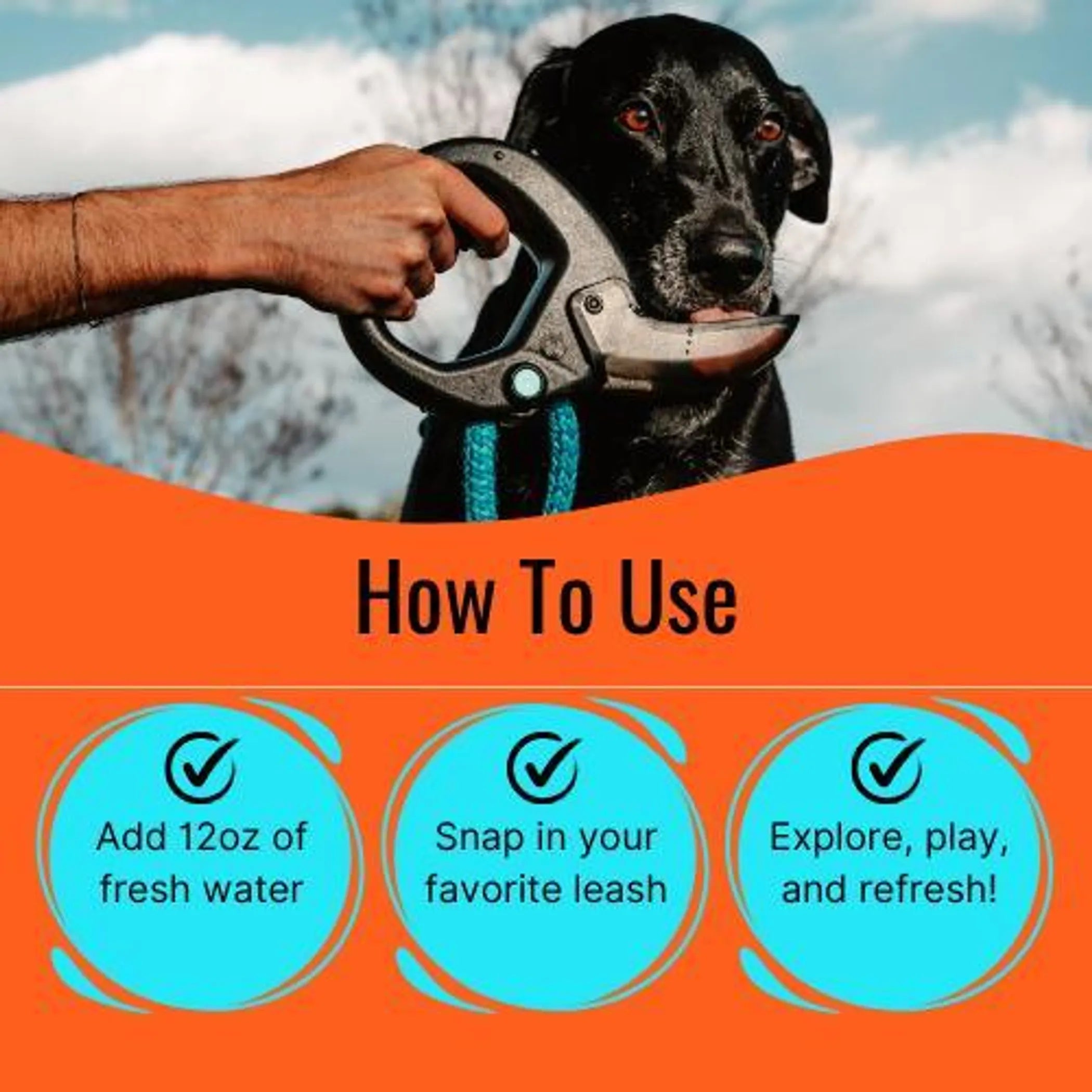 Dog Water Bottle with Flip Open Cup