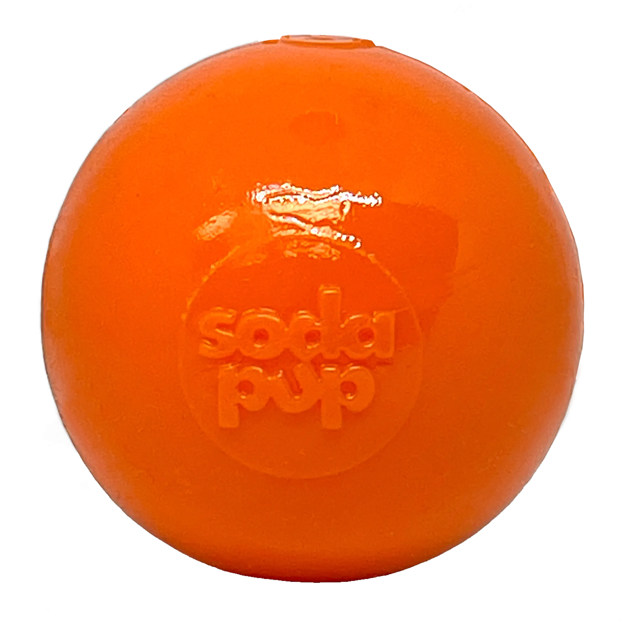 Squeak Ball - Durable Squeaky Dog Toy, Floats, Chew Toy