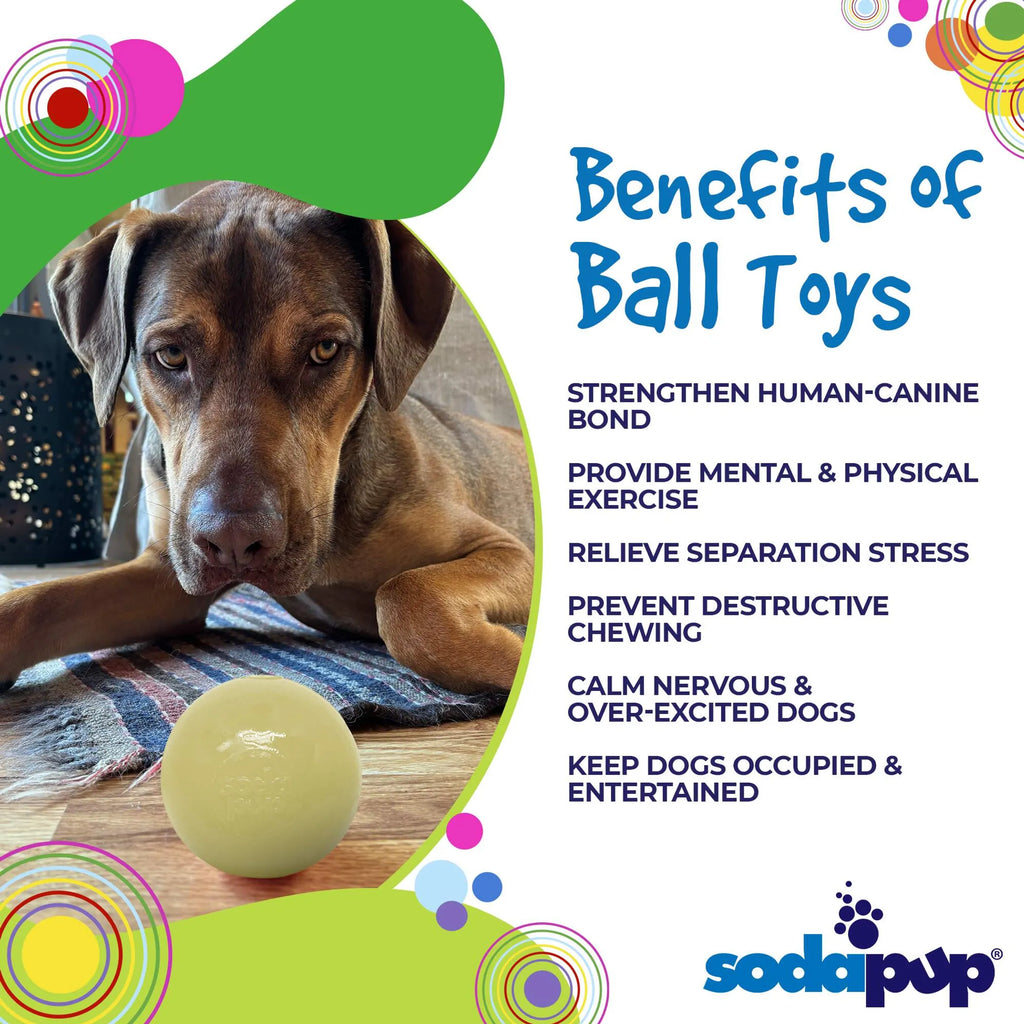 Squeak Ball - Durable Squeaky Dog Toy, Floats, Chew Toy
