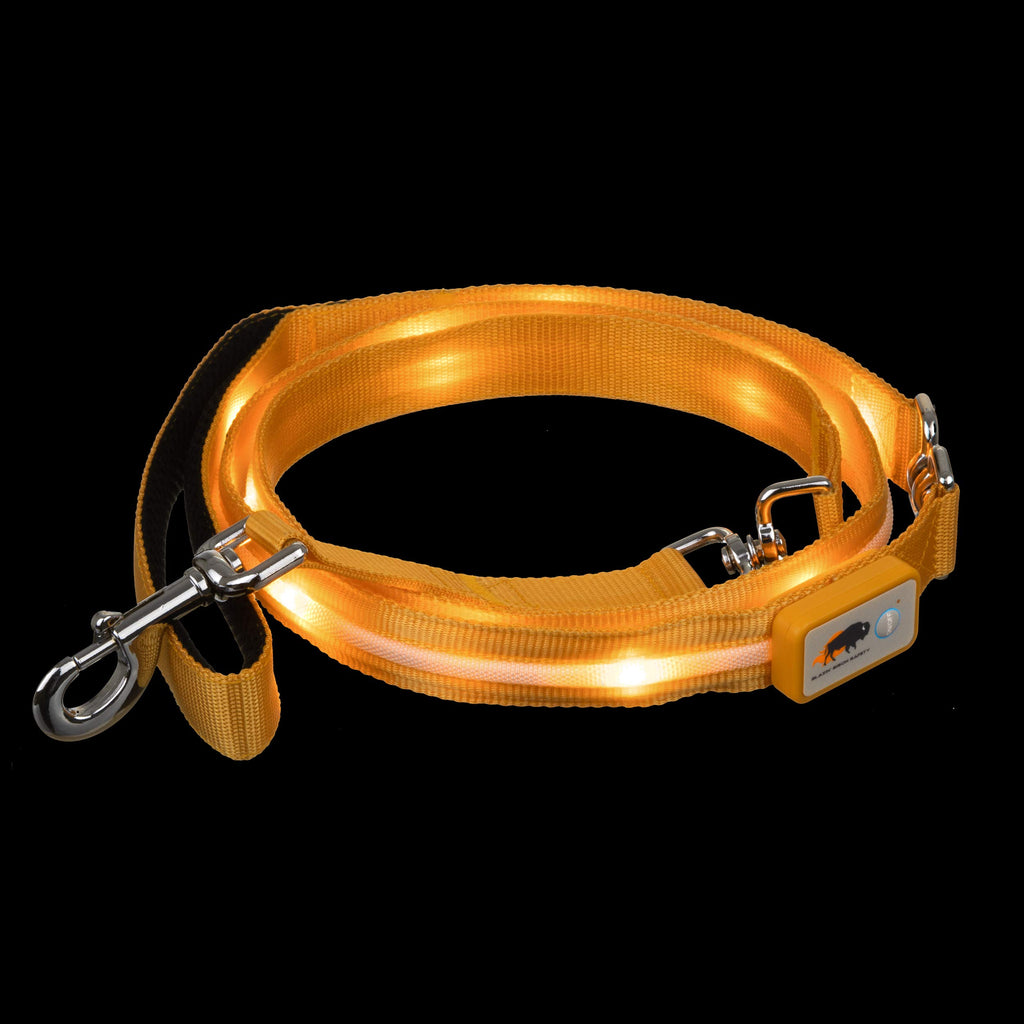 Light Up Dog Leash LED Dog Leash