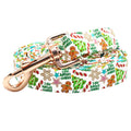 Rainbow Dog Leash