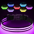 Light Up Dog CollarLED Dog Collar