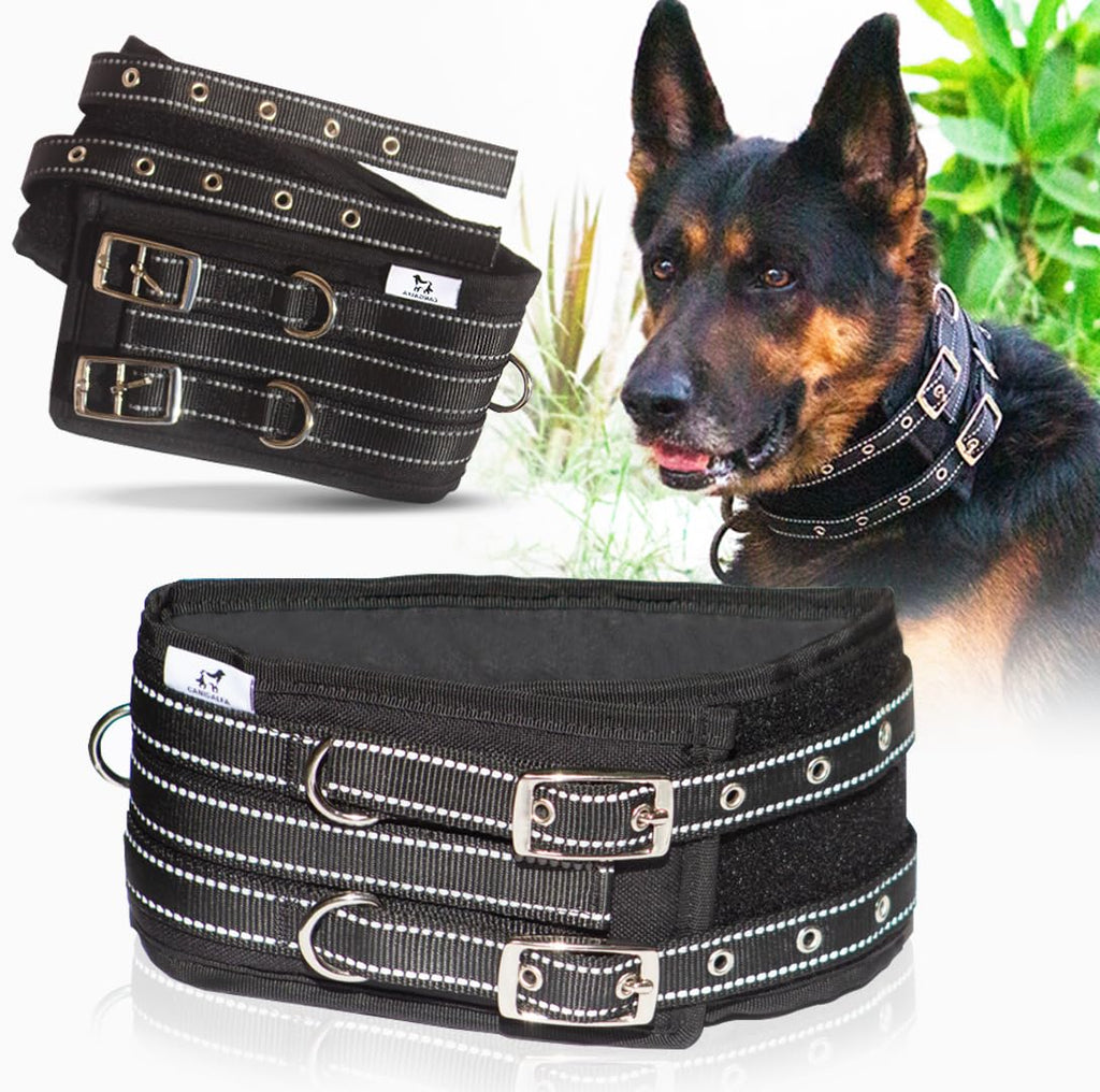 Tactical Dog Collar for Large Dogs